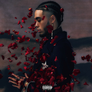 钓女人日批野模宾馆私拍AV免费在线
