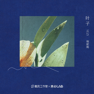 钓女人日批野模宾馆私拍AV免费在线
