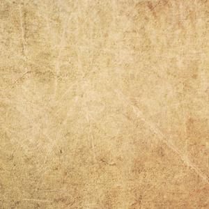 钓女人日批野模宾馆私拍AV免费在线
